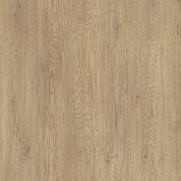 011b078def804ea107057b3bc5d564fe