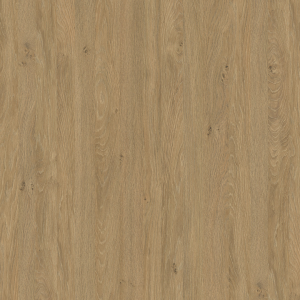 07b7b9fd4ee3b5677d7ffab67e0b26be