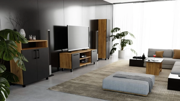 Szafka RTV Komoda Pod Telewizor TV Loft Złoty Craft + Czarna Valeria 04