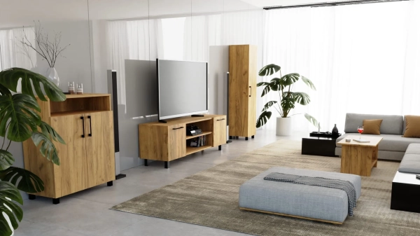 Szafka RTV Komoda Pod Telewizor TV Loft Złoty Craft Valeria 04
